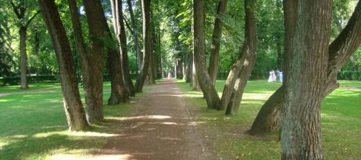 Коммунарку и Южное Бутово свяжут парком