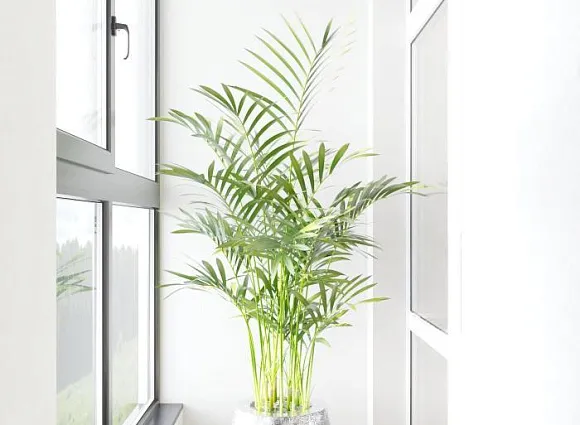 Дизайн квартиры 70 кв.м в ЖК Москва А101