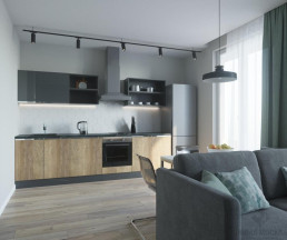 Дизайн-проект 1-комнатной квартиры 42,5 кв.м в ЖК Белые ночи_2