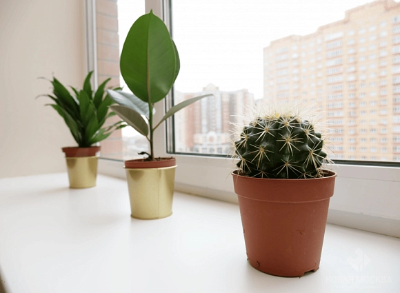 Ремонт 2-комнатной квартиры 53 кв.м по адресу: город Москва, поселок Коммунарка, улица Липовый парк, дом 8, корпус 2_35 Ремонт 2-комнатной квартиры 53 кв.м по адресу: город Москва, поселок Коммунарка, улица Липовый парк, дом 8, корпус 2