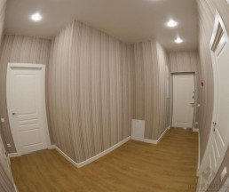 Ремонт 2-комнатной квартиры в ЖК Москва А101_2