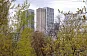 Ремонт однокомнатной квартиры по адресу: бульвар Звездный, дом 38, корпус 2